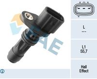 ERA 550846A - Generador de impulsos, cigüeñal