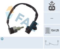 FAE 41248 - Interruptor, piloto de marcha atrás