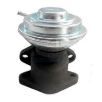 ERA 555325 - Válvula EGR
