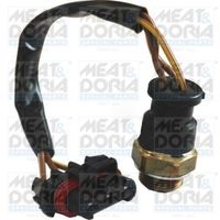 LUCAS SNB664 - Interruptor de temperatura, ventilador del radiador
