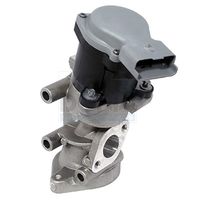 HELLA 6NU010171821 - Válvula EGR