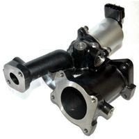 ERA 555313A - Válvula EGR