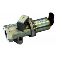 ERA 555423 - Válvula EGR