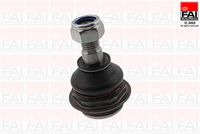 DELPHI TC1022 - Rótula de suspensión/carga