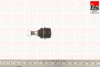 DELPHI TC2362 - Rótula de suspensión/carga