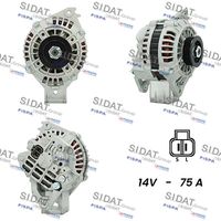 ERA 215520 - Regulador del alternador