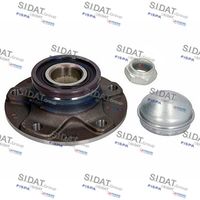 SIDAT 460011 - Juego de cojinete de rueda