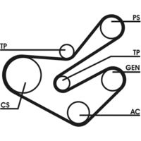 CONTINENTAL CTAM 6PK1750D2 - Juego de correas trapeciales poli V