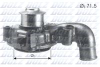DOLZ F165 - Bomba de agua, refrigeración del motor