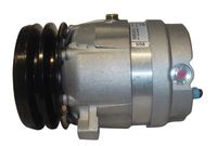 DELPHI TSP0155120 - Compresor, aire acondicionado