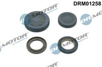 3RG 80661 - Tapones, taladro de montaje eje de balancín