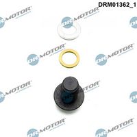 LIZARTE DRM01362 - Tapón roscado, colector de aceite