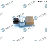 ESEN SKV 17SKV627 - Sensor, presión combustible