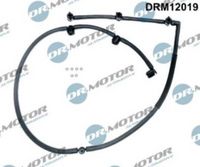 FARE SA 31231 - Tubo flexible, combustible de fuga
