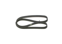 BOSCH 1987946054 - Correa trapecial poli V