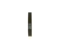 BOSCH 1 987 949 661 - Correa dentada
