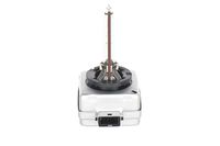 BOSCH 1987302905 - Lámpara, faro de carretera - Xenon HID WS