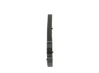 BOSCH 1 987 947 980 - Correa trapecial poli V