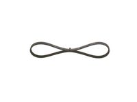BOSCH 1987947881 - Correa trapecial poli V