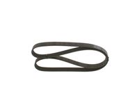 BOSCH 1 987 947 944 - Correa trapecial poli V