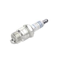BOSCH 0242335504 - Bujía de encendido - Níquel