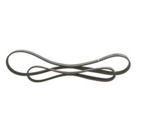 BOSCH 1987946198 - Juego de correas trapeciales poli V - Elastic