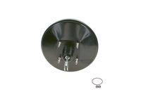 BOSCH 0204125910 - Servofrenos