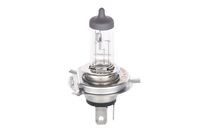 BOSCH 1 987 302 049 - Lámpara, faro principal