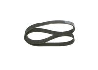 BOSCH 1987946249 - Correa trapecial poli V