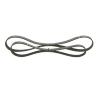BOSCH 1987946196 - Juego de correas trapeciales poli V - Elastic