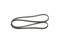 BOSCH 1987946233 - Correa trapecial poli V