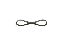 BOSCH 1987946033 - Correa trapecial poli V