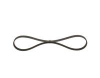 BOSCH 1987947809 - Correa trapecial poli V