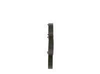 BOSCH 1987945982 - Correa trapecial poli V