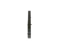 BOSCH 1 987 947 985 - Correa trapecial poli V
