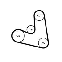 CONTINENTAL CTAM 4PK654K1 - Juego de correas trapeciales poli V