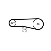 CONTINENTAL CTAM 4PK890K1 - Juego de correas trapeciales poli V