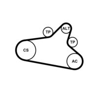 CONTINENTAL CTAM 6PK1020EXTRAK1 - Juego de correas trapeciales poli V