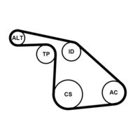 CONTINENTAL CTAM 6PK1038K1 - Juego de correas trapeciales poli V