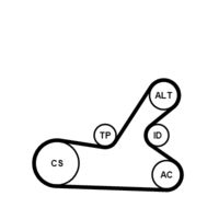 CONTINENTAL CTAM 6PK1145K4 - Juego de correas trapeciales poli V