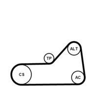 CONTINENTAL CTAM 6PK1153K1 - Juego de correas trapeciales poli V
