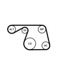 CONTINENTAL CTAM 6PK1310WP1 - Bomba de agua + kit de correa poli V