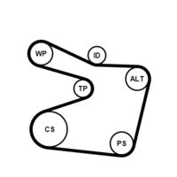 CONTINENTAL CTAM 6PK1555K1 - Juego de correas trapeciales poli V