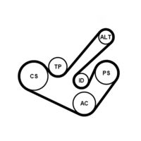 CONTINENTAL CTAM 6PK1555K4 - Juego de correas trapeciales poli V