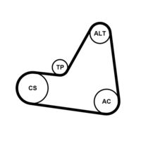CONTINENTAL CTAM 6PK1680K1 - Juego de correas trapeciales poli V