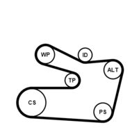 CONTINENTAL CTAM 6PK1733K2 - Juego de correas trapeciales poli V