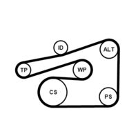 CONTINENTAL CTAM 6PK1733K4 - Juego de correas trapeciales poli V