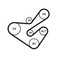 CONTINENTAL CTAM 6PK1733K5 - Juego de correas trapeciales poli V