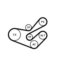CONTINENTAL CTAM 6PK1750K3 - Juego de correas trapeciales poli V
