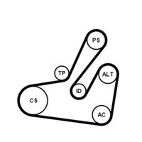 CONTINENTAL CTAM 6PK1795K2 - Juego de correas trapeciales poli V